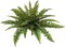 3-Pack – 48” Faux Boston Ferns with 48 Lifelike Fronds Each – Silk Hanging Greenery for Outdoor Planters & Indoor Decor – Maintenance-Free Artificial Fern Plants